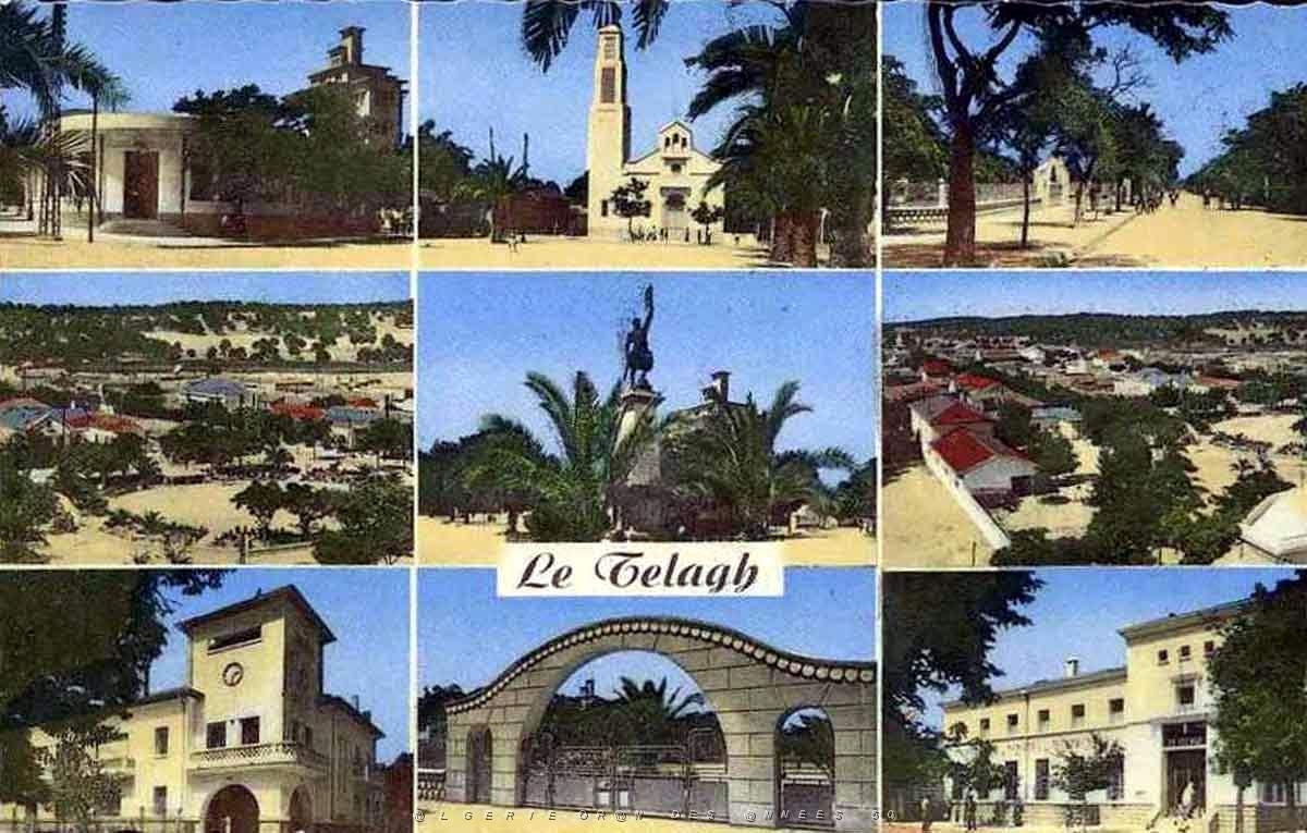 Telagh 605.jpg